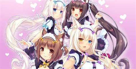 nekopara|Nekopara Series In Order (Anime, Games)